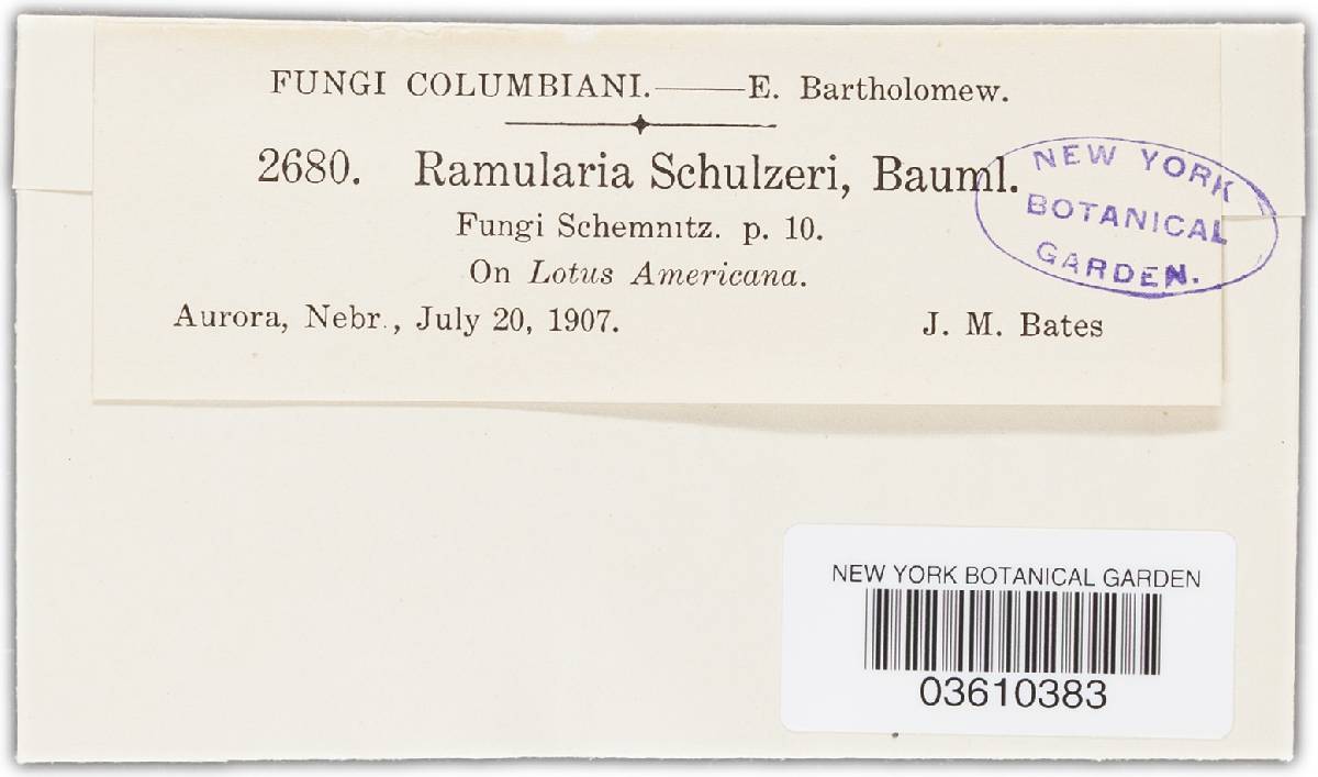 Ramularia schulzeri image