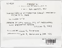 Sesquicillium microsporum image