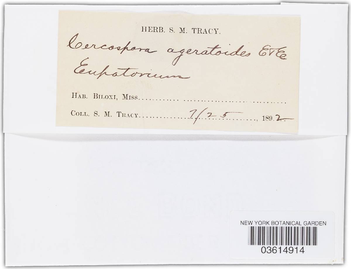 Cercospora ageratoides image