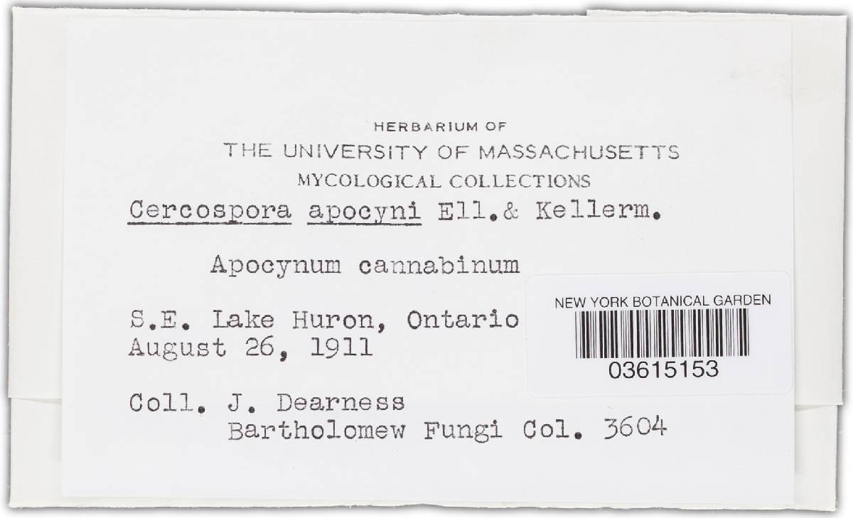 Cercosporella image
