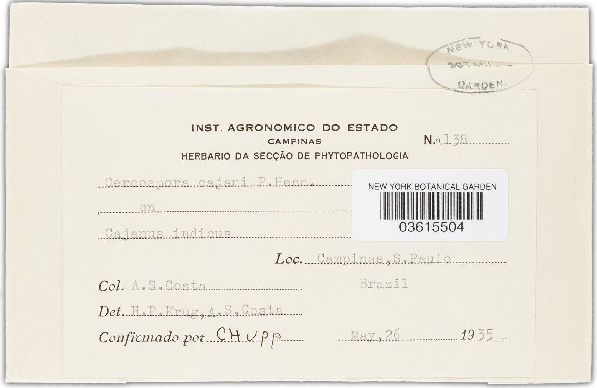 Passalora cajani image