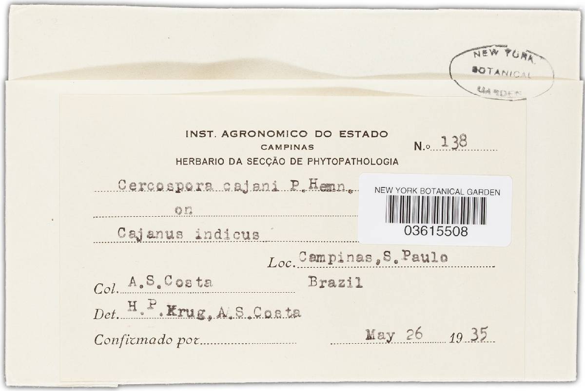 Passalora cajani image