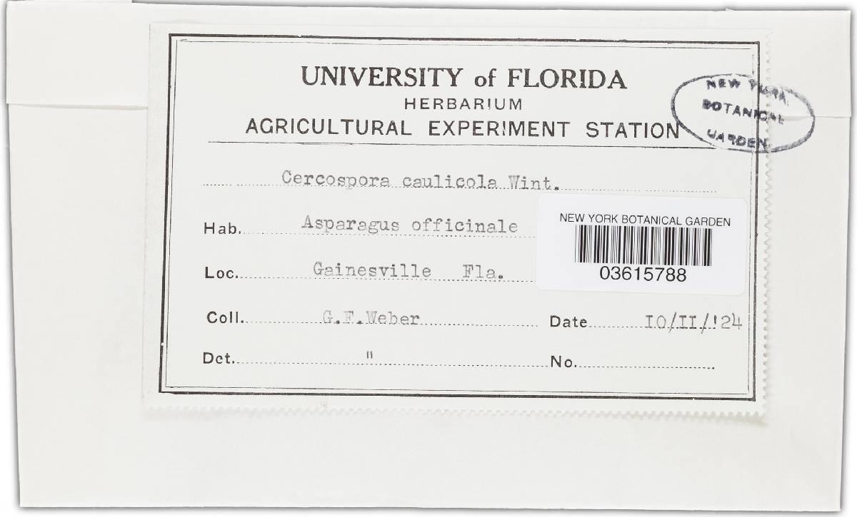 Cercospora asparagi image