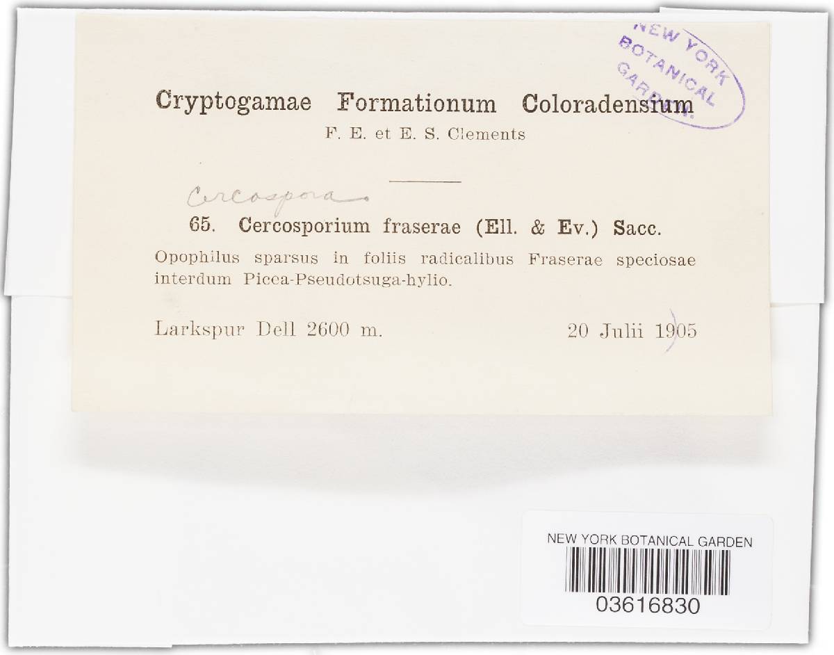 Cercospora fraserae image