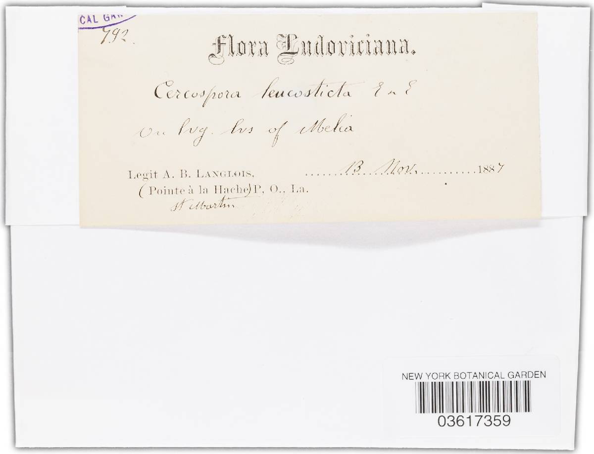 Cercospora leucosticta image