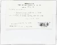 Leptosphaeria avenaria image