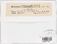 Uromyces geranii image