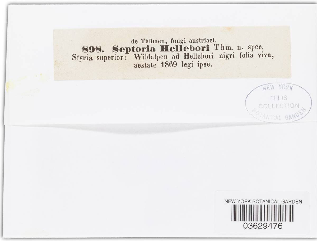 Septoria hellebori image
