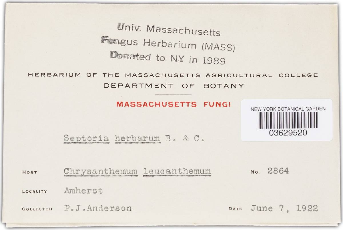 Septoria herbarum image