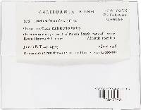 Eudarluca caricis image