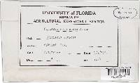 Lasiodiplodia theobromae image