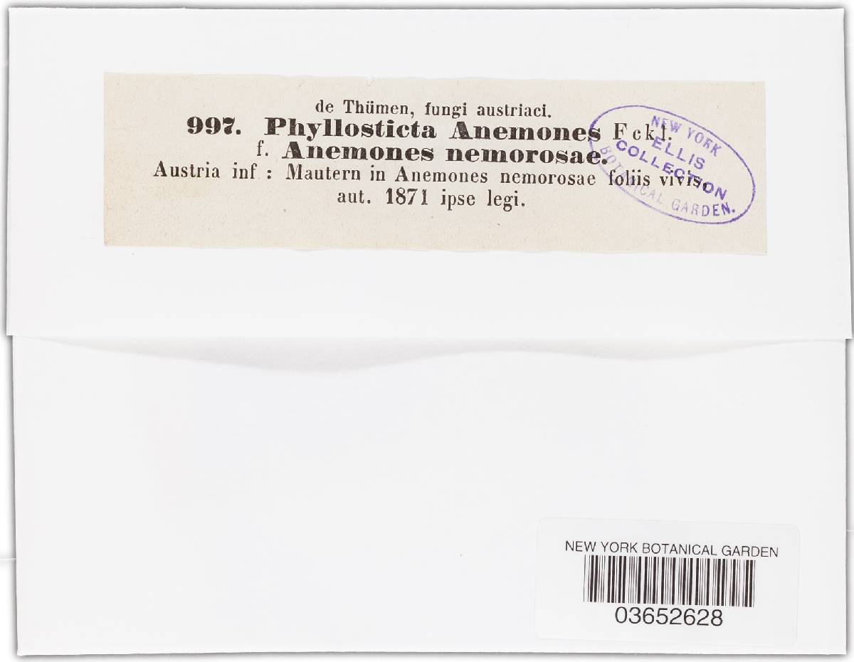 Phyllosticta anemones image