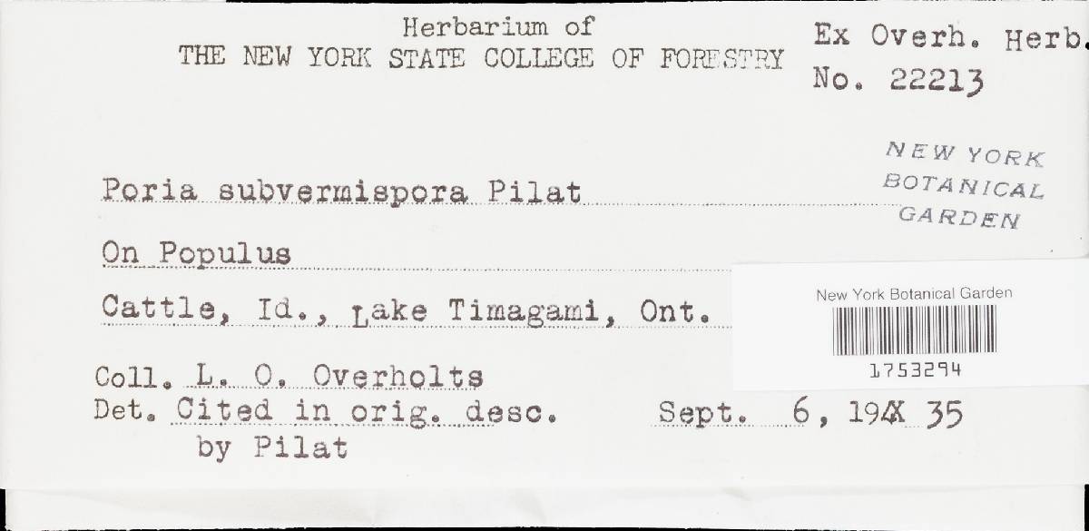 Ceriporiopsis subvermispora image