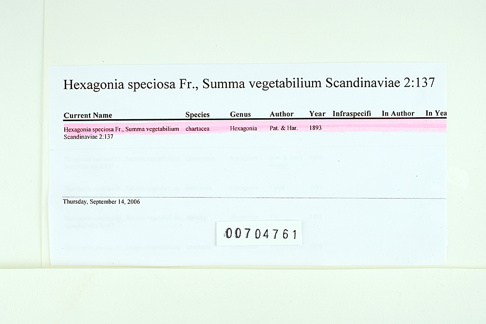 Hexagonia chartacea image