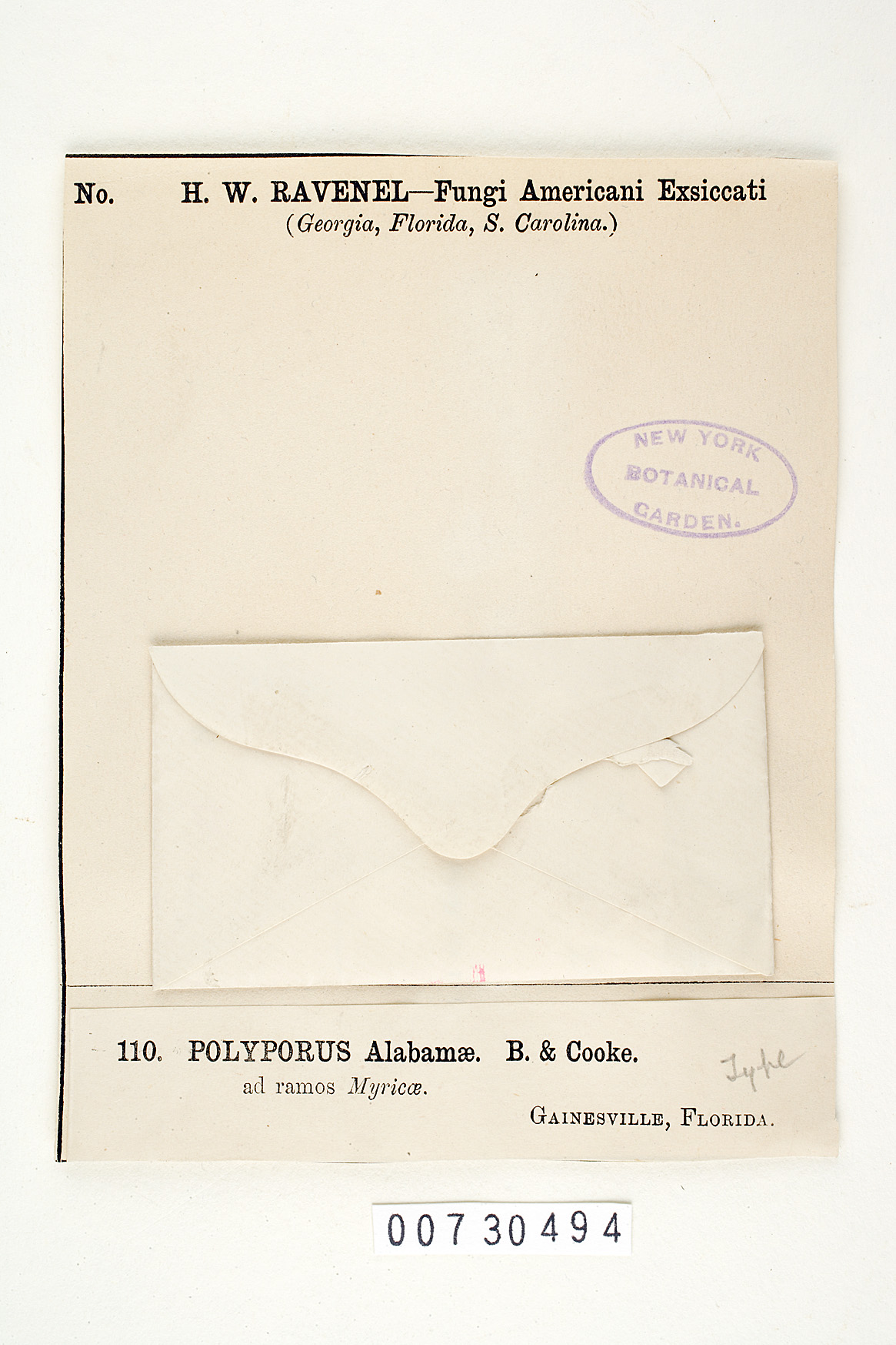 Pachykytospora alabamae image