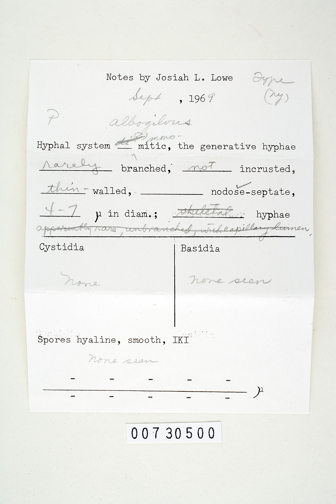 Tyromyces albogilvus image