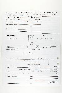 Fomitopsis lignea image