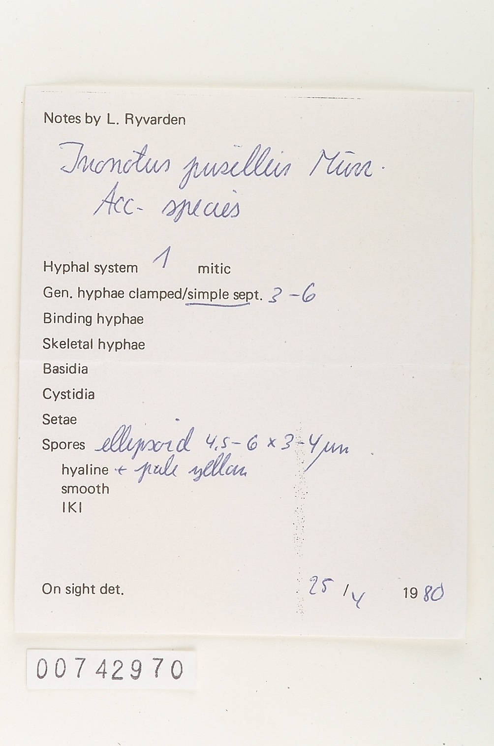 Inonotus pusillus image