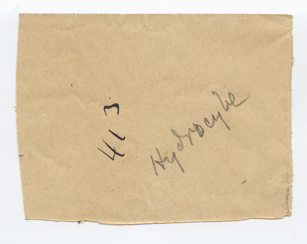 Hydrocybe californica image