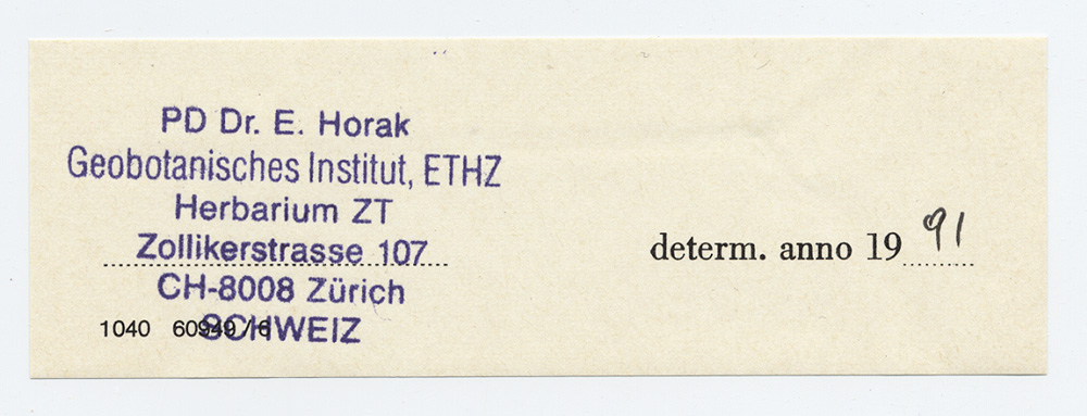 Heliomyces terrestris image