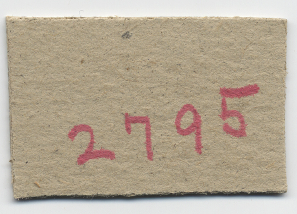 Gymnopilus fibrillosipes image