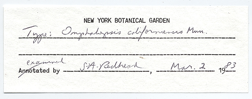 Omphalopsis californiensis image