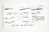 Inocybe cookei image