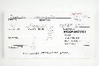 Inocybe caesariata image