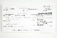 Inocybe variabillima image