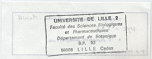 Naucoria badia image