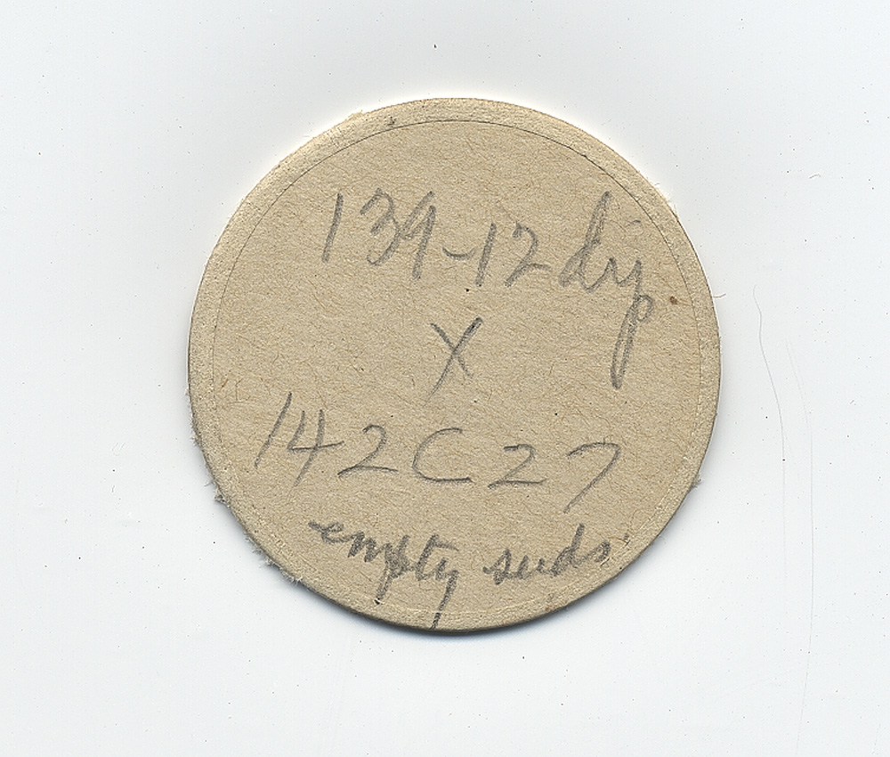 Lepista praevillosa image