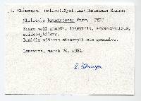 Clitocybe brunnescens image