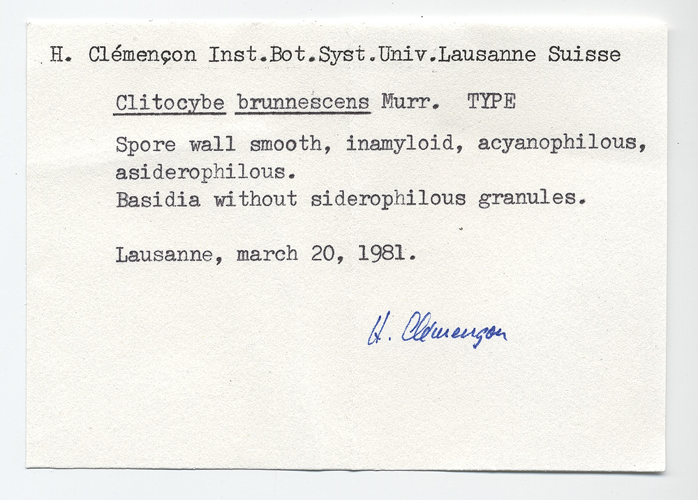 Clitocybe brunnescens image