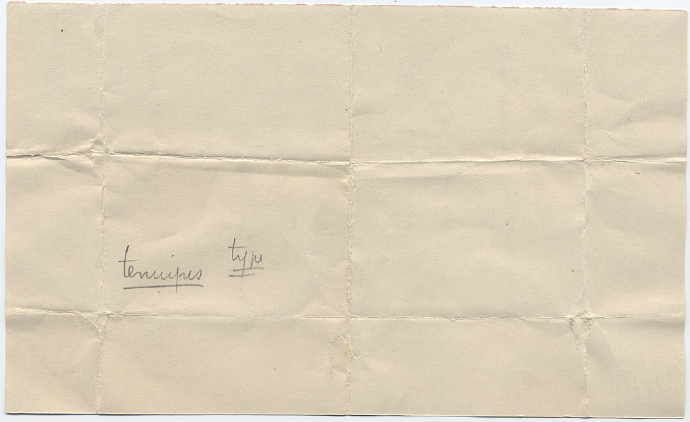 Entoloma tenuipes image