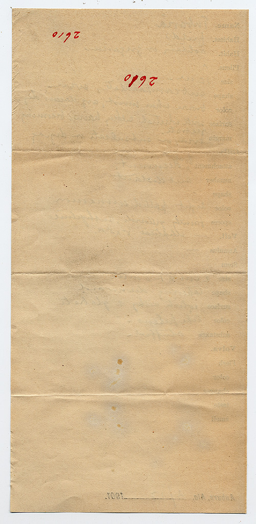 Tubaria alabamensis image