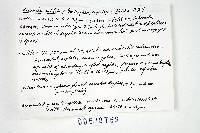 Russula affinis image