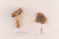 Russula pulverulenta image