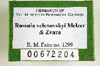 Russula velenovskyi image