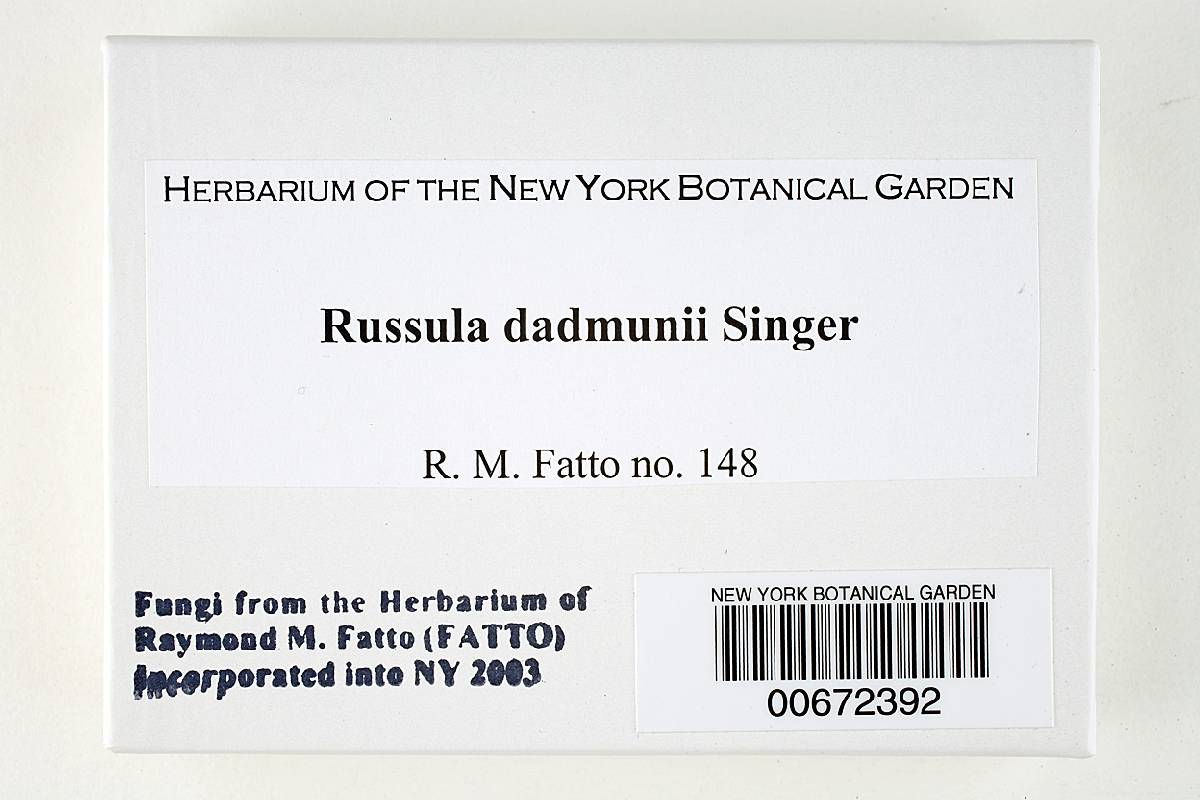 Russula dadmunii image