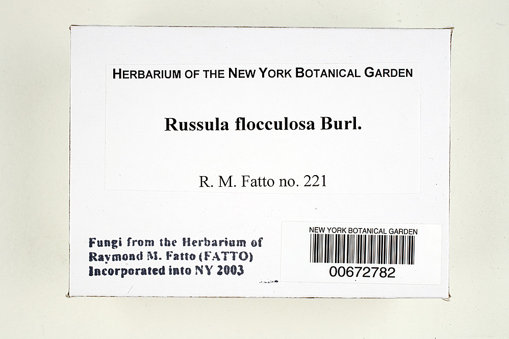 Russula flocculosa image