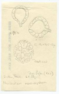 Neosecotium macrosporum image
