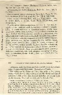 Splanchnomyces behrii image