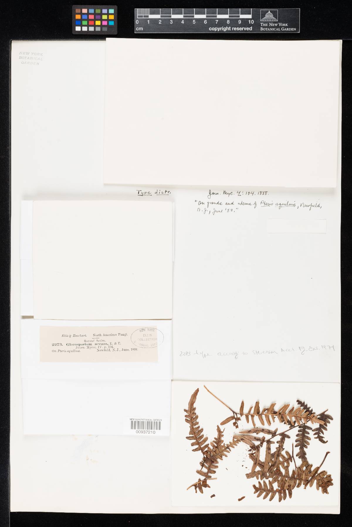 Marssonina necans image