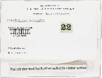 Cyathus olla image