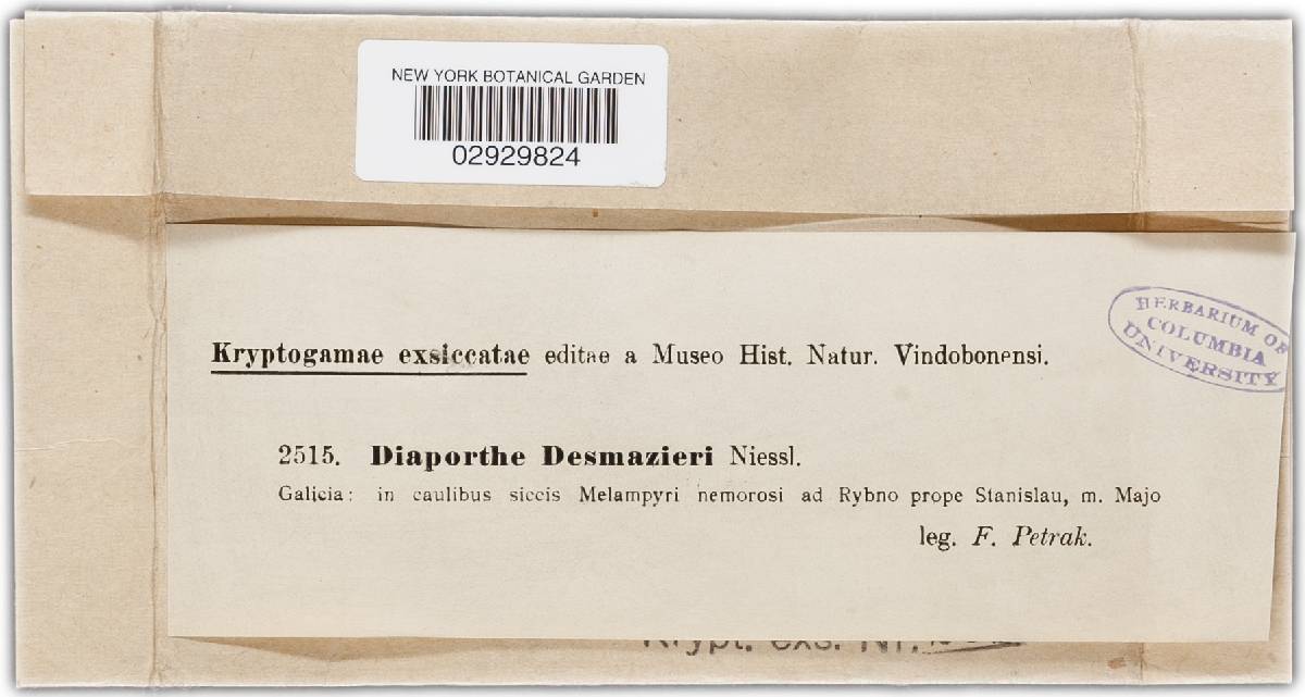 Diaporthe desmazierii image