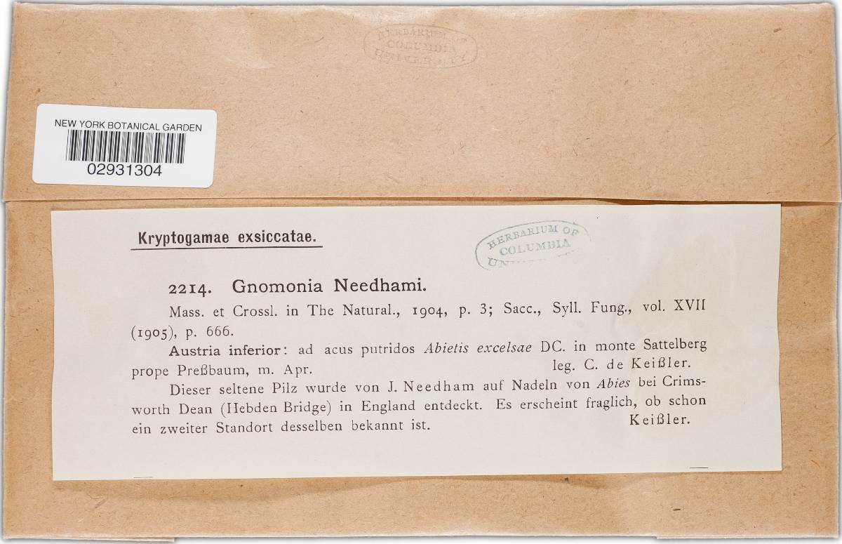 Gnomonia needhami image