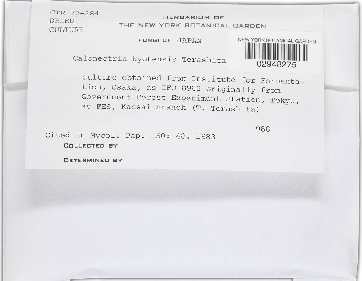 Calonectria kyotensis image