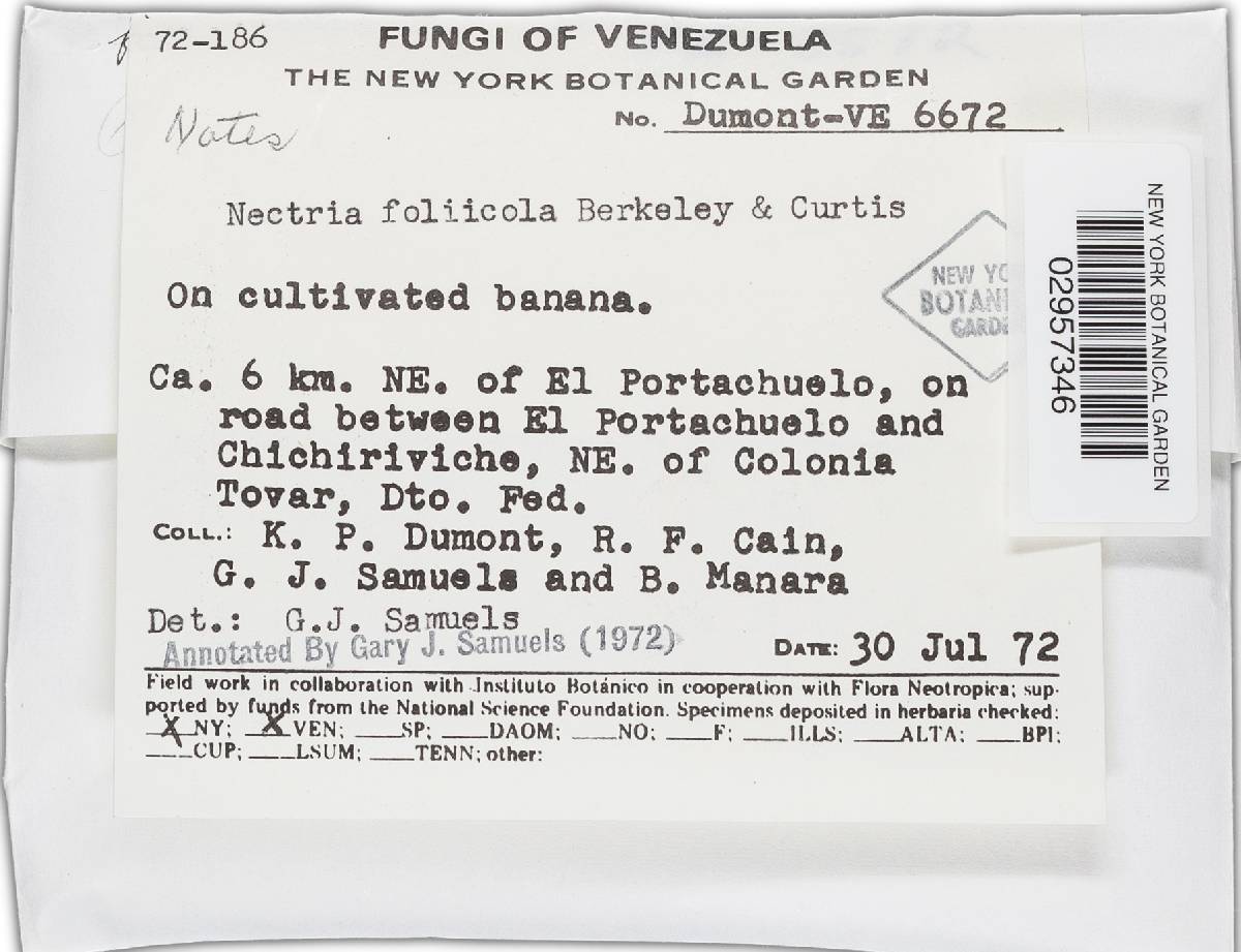 Nectria foliicola image