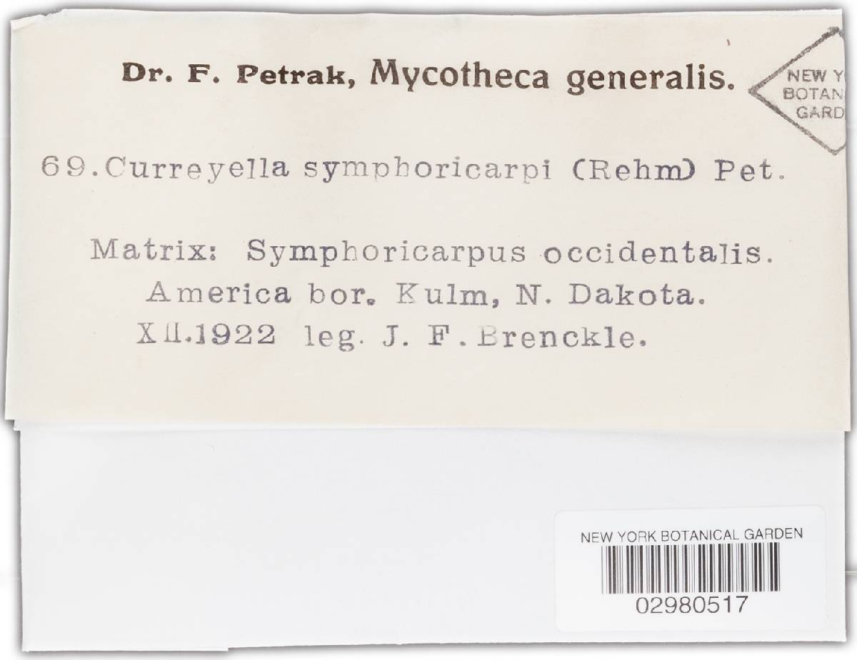 Griphosphaerioma symphoricarpi image