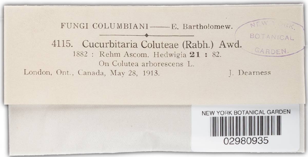 Cucurbitaria image